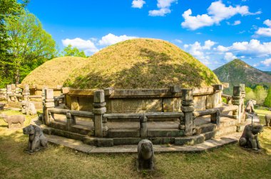 incir ve su damlaları