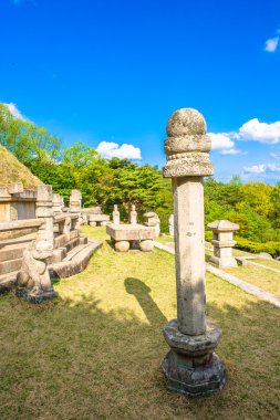 incir ve su damlaları