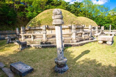 incir ve su damlaları