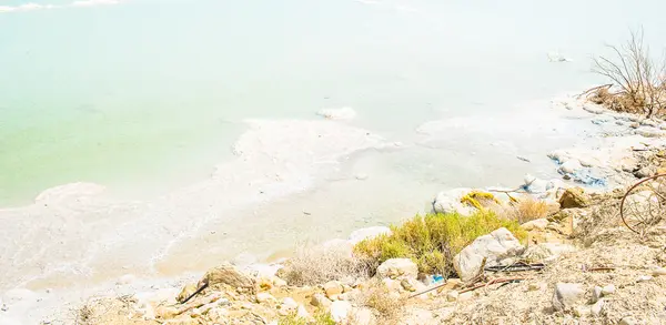 死海以色列的海岸 — 图库照片