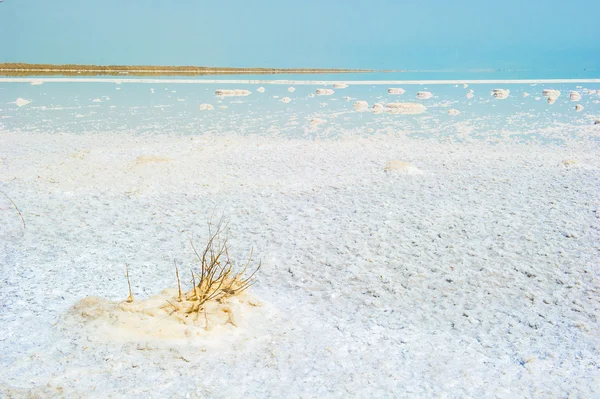 Coast of the Dead Sea, Israel — Stock Photo, Image