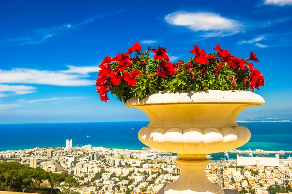 Vaas met bloemen in fron van de stad aan de kust — Stockfoto