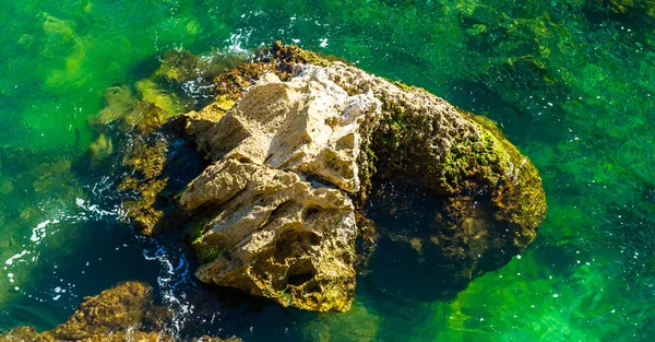 Камінь у зеленій воді — стокове фото