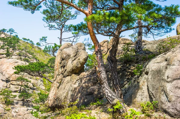 Giornata estiva, Monte Kumgang — Foto Stock