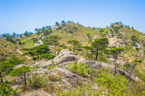 Zomerdag, mount kumgang — Stockfoto