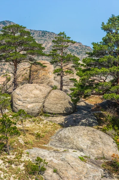 Neuvěřitelný výhled na kamenné formace na hoře — Stock fotografie