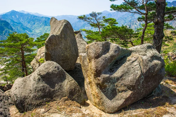 朝鲜金刚山在江原，北 kor 的性质 — 图库照片