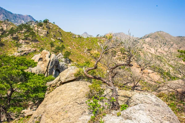 Σχηματισμοί για το όρος kumgang σε kangwon-ντο, Βόρεια Κορέα. κατά τη διάρκεια — Φωτογραφία Αρχείου