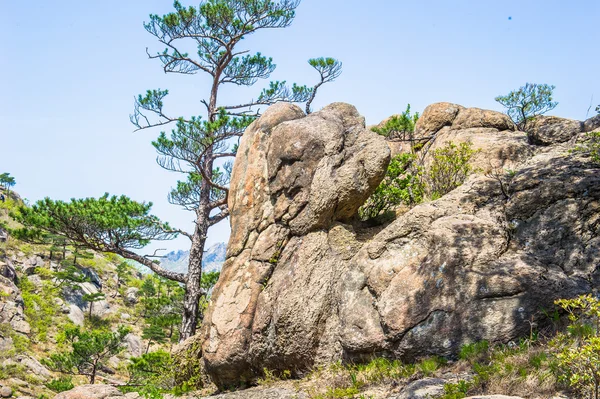 Naturaleza de las montañas en Corea del Norte — Foto de Stock