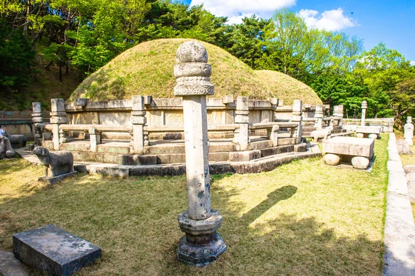 incir ve su damlaları