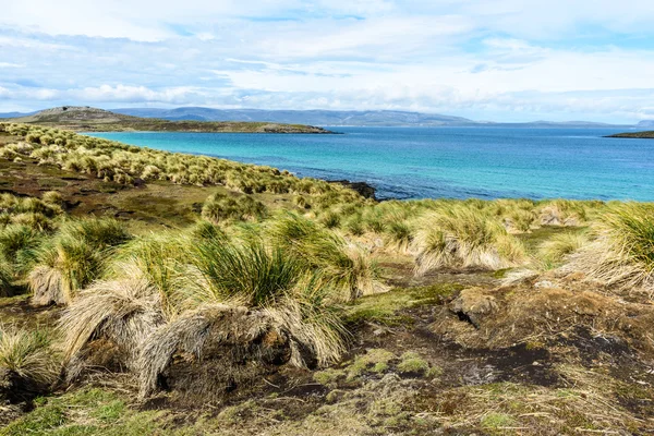 Пейзаж Фолклендских островов — стоковое фото