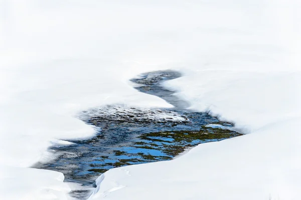 Над льдом — стоковое фото