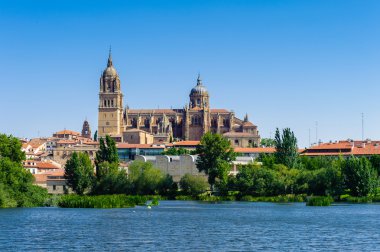 Architecture of the Old City of Salamanca. UNESCO World Heritage. Spain clipart