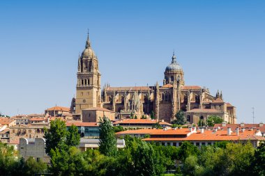 salamanca eski şehir mimarisi. UNESCO dünya mirası. İspanya