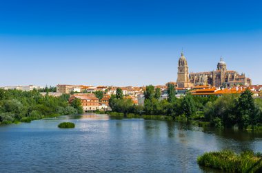 salamanca eski şehir mimarisi. UNESCO dünya mirası. İspanya