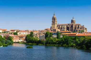 salamanca eski şehir mimarisi. UNESCO dünya mirası. İspanya