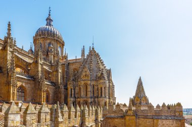 salamanca eski şehir mimarisi. UNESCO dünya mirası. İspanya