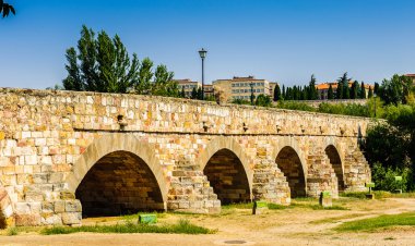 salamanca eski şehir mimarisi. UNESCO dünya mirası. İspanya