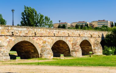 salamanca eski şehir mimarisi. UNESCO dünya mirası. İspanya
