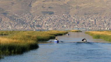 titikaka Gölü, peru
