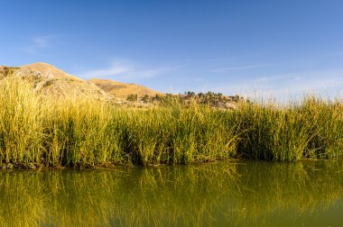 titikaka Gölü, peru