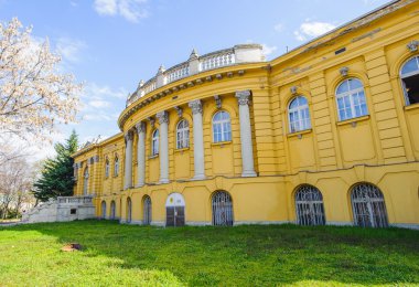 szeceny termal banyo, Budapeşte