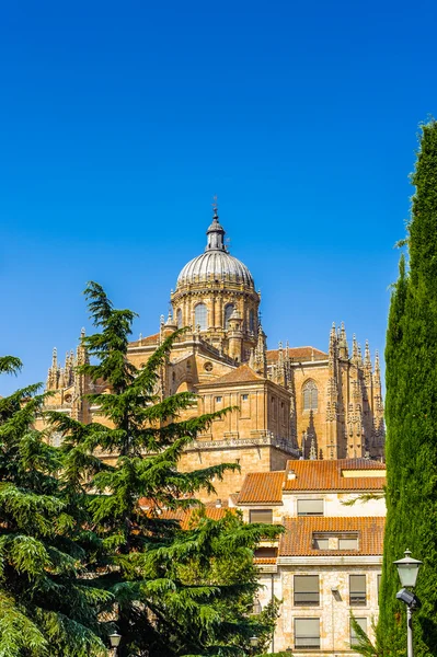 salamanca eski şehir mimarisi. UNESCO dünya mirası. İspanya