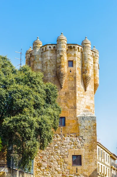 Arquitectura del casco antiguo de Salamanca. Patrimonio Mundial de la UNESCO. España — Foto de Stock