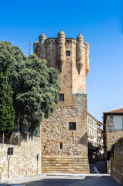 Arkitekturen i den gamla staden i salamanca. UNESCO: s världsarvslista. Spanien — Stockfoto