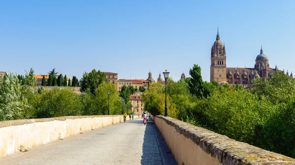 Architecture of the Old City of Salamanca. UNESCO World Heritage. Spain — Stock Photo, Image