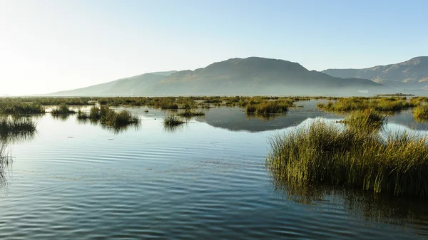 チチカカ湖、ペルー — ストック写真