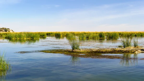 チチカカ湖、ペルー — ストック写真