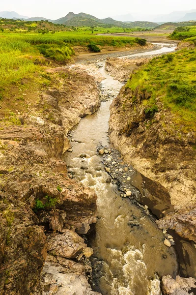 Natura dell'Etiopia — Foto Stock