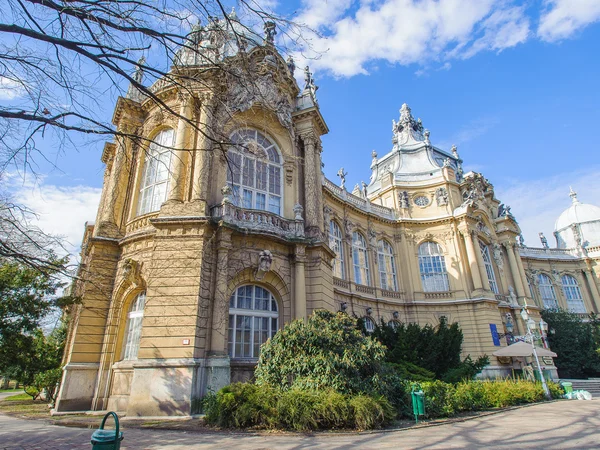 Arkitekturen i budapest, Ungern, agicultural museum — Stockfoto