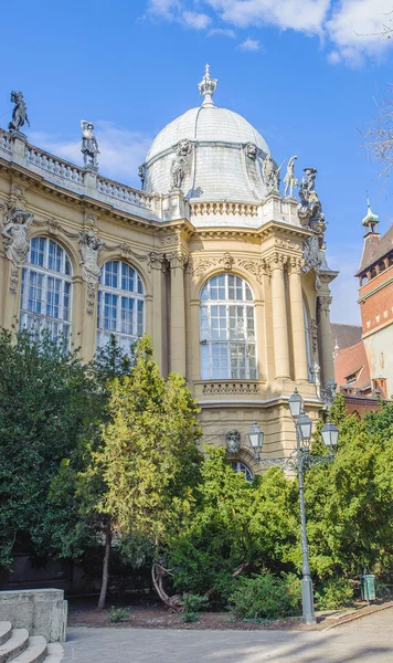 Architektura Budapeszt, Węgry, agicultural Muzeum — Zdjęcie stockowe