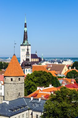 Tallinn, Estonya tarihi merkezi (eski şehir). UNESCO Dünya Mirası
