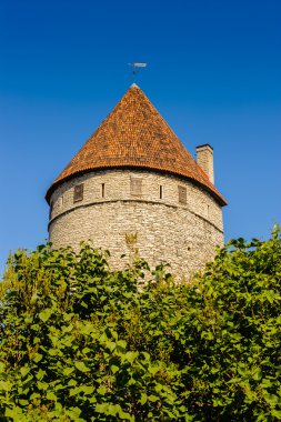 Tallinn, Estonya tarihi merkezi (eski şehir). UNESCO Dünya Mirası