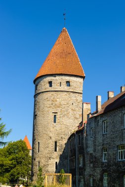Tallinn, Estonya tarihi merkezi (eski şehir). UNESCO Dünya Mirası