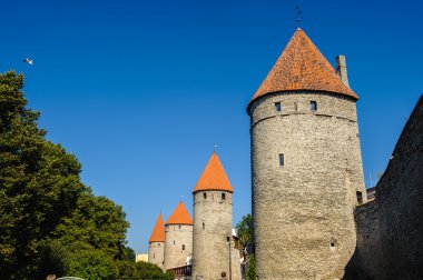 Tallinn, Estonya tarihi merkezi (eski şehir). UNESCO Dünya Mirası