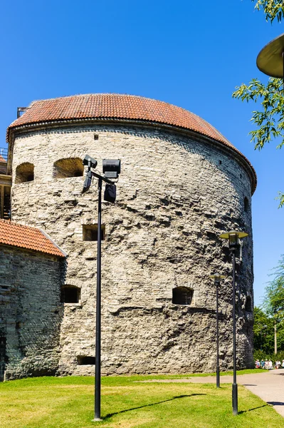 Oude stad van tallin, Estland — Stockfoto
