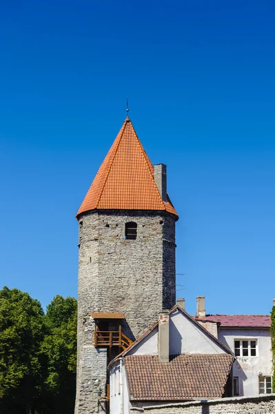 Gamla stan i tallin, Estland — Stockfoto