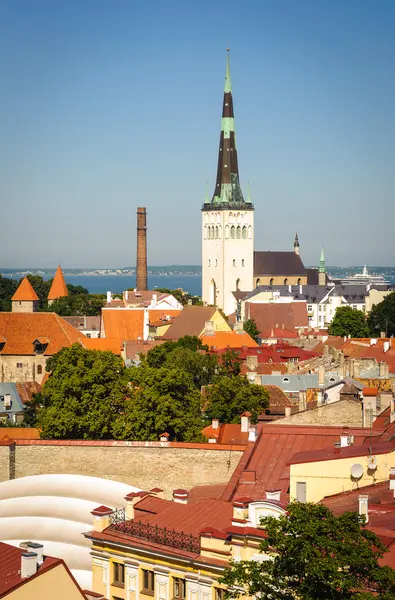 탈린, 에스토니아의 역사적인 센터 (오래 된 도시). 유네스코 세계 유산 — 스톡 사진