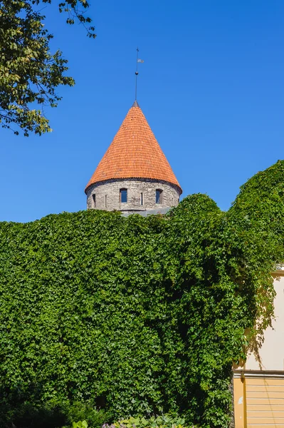 Historisches zentrum (altstadt) von tallinn, estland. UNESCO-Welterbe — Stockfoto