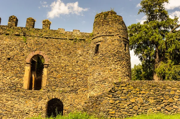 Slottet av fasilides, gondar, Afrika — Stockfoto