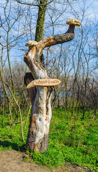 Island Hortitsia, Zaporozhie, Ucrânia — Fotografia de Stock