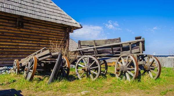 Остров Хортиция, Запорожье, Украина — стоковое фото