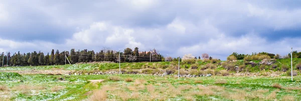 Chersonesus (Crimea), Ucraina — Foto Stock