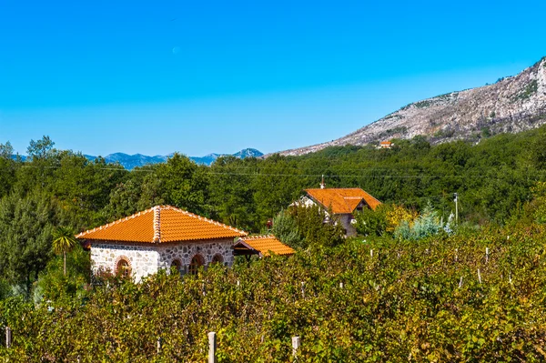 Trebinje Cidade na Bósnia e Herzegovina (Respublica Serpska ) — Fotografia de Stock