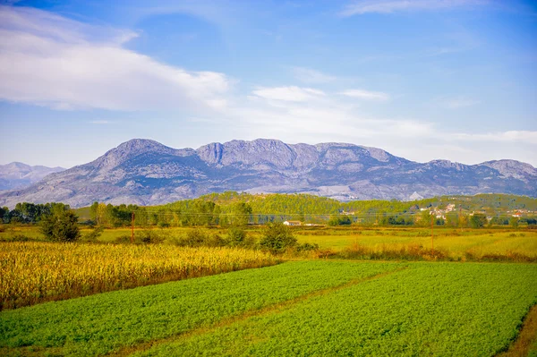 Albanien — Stockfoto