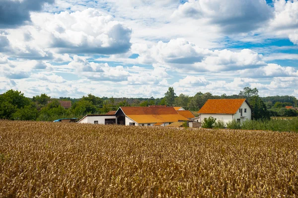 Natura z Serbii — Zdjęcie stockowe